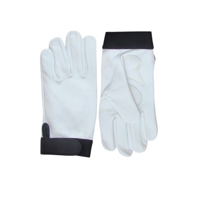 Driver Gloves