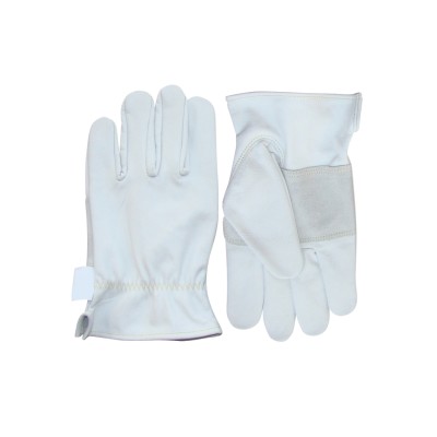 Driver Gloves