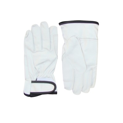 Driver Gloves